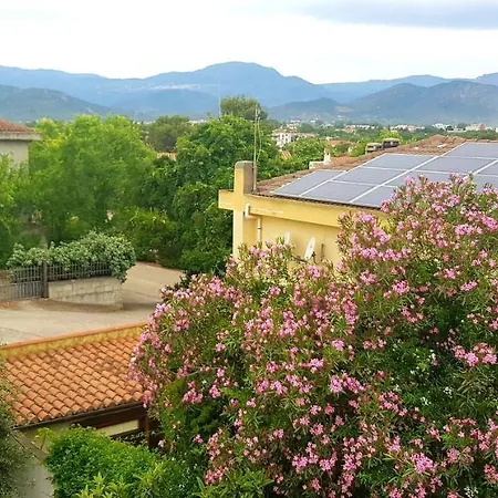 Apartament Alissya *